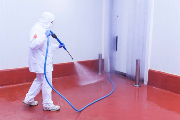 Best Warehouse Cleaning  in Sunray, TX