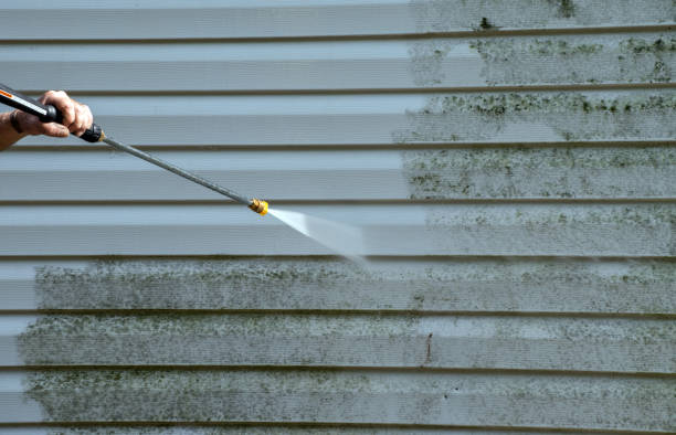 Animal Enclosure Cleaning in Sunray, TX