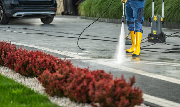 Best Fence Cleaning  in Sunray, TX